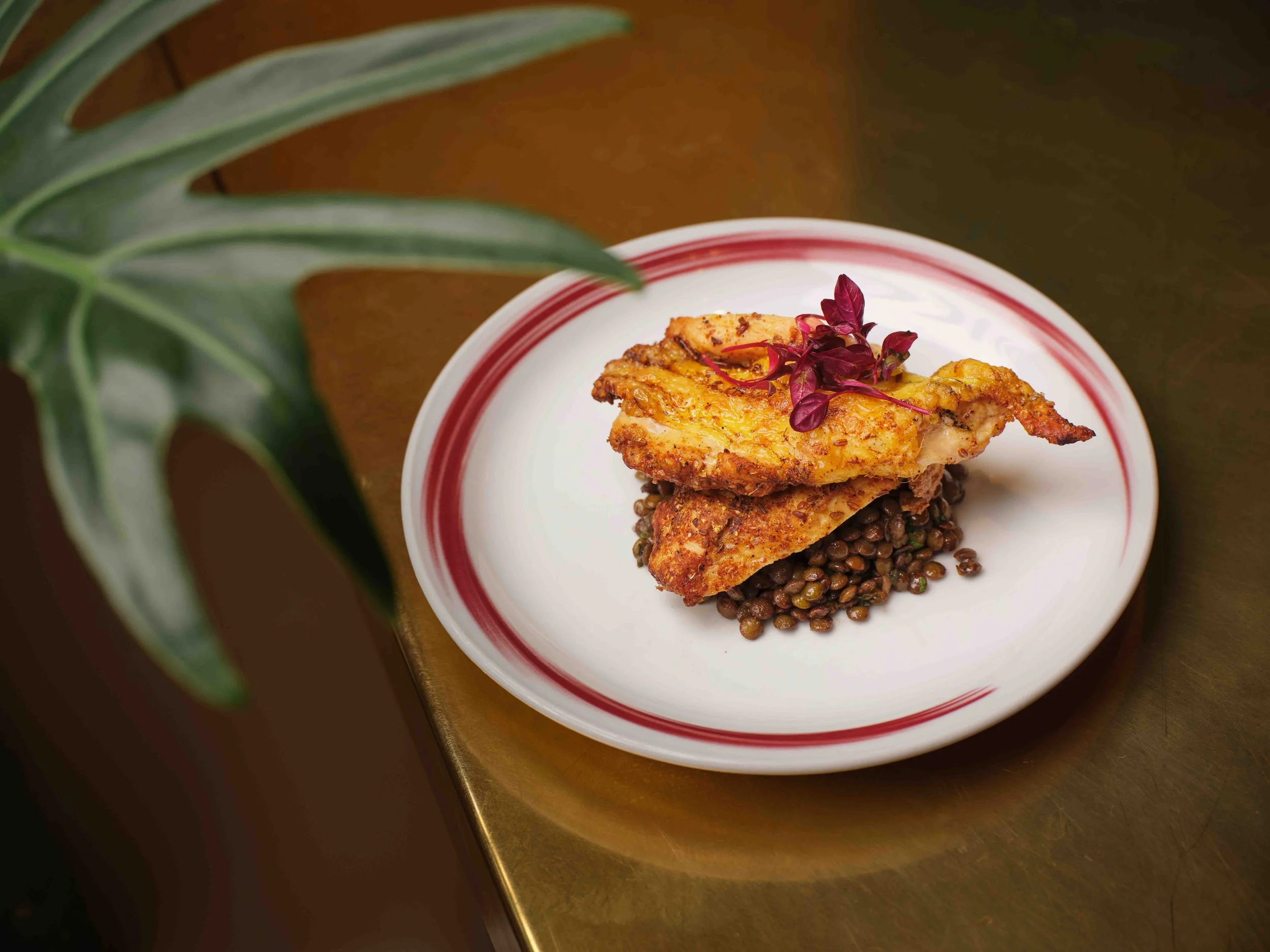 ©JodiHinds241031_Ceru_SpiceWrappedChicken_10